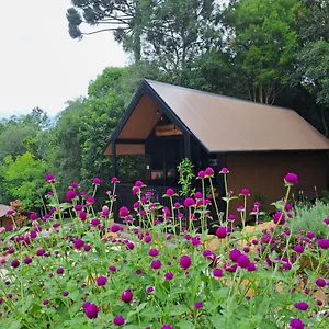 https://cabana-do-mato-waldhuette.santa-catarina-brasil.com